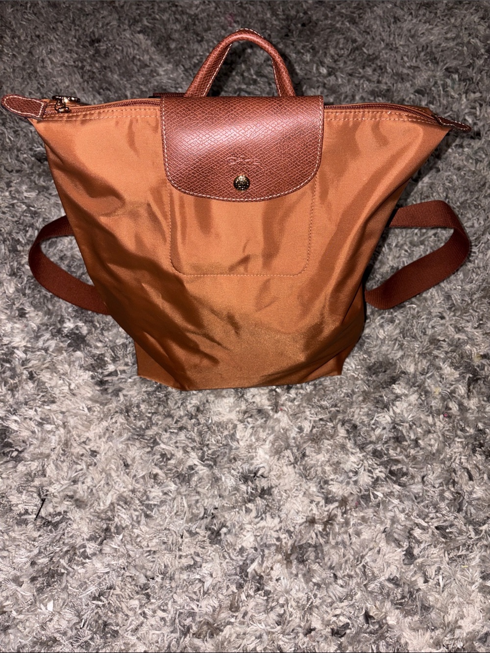 Longchamp backpack - Picture 3 of 14